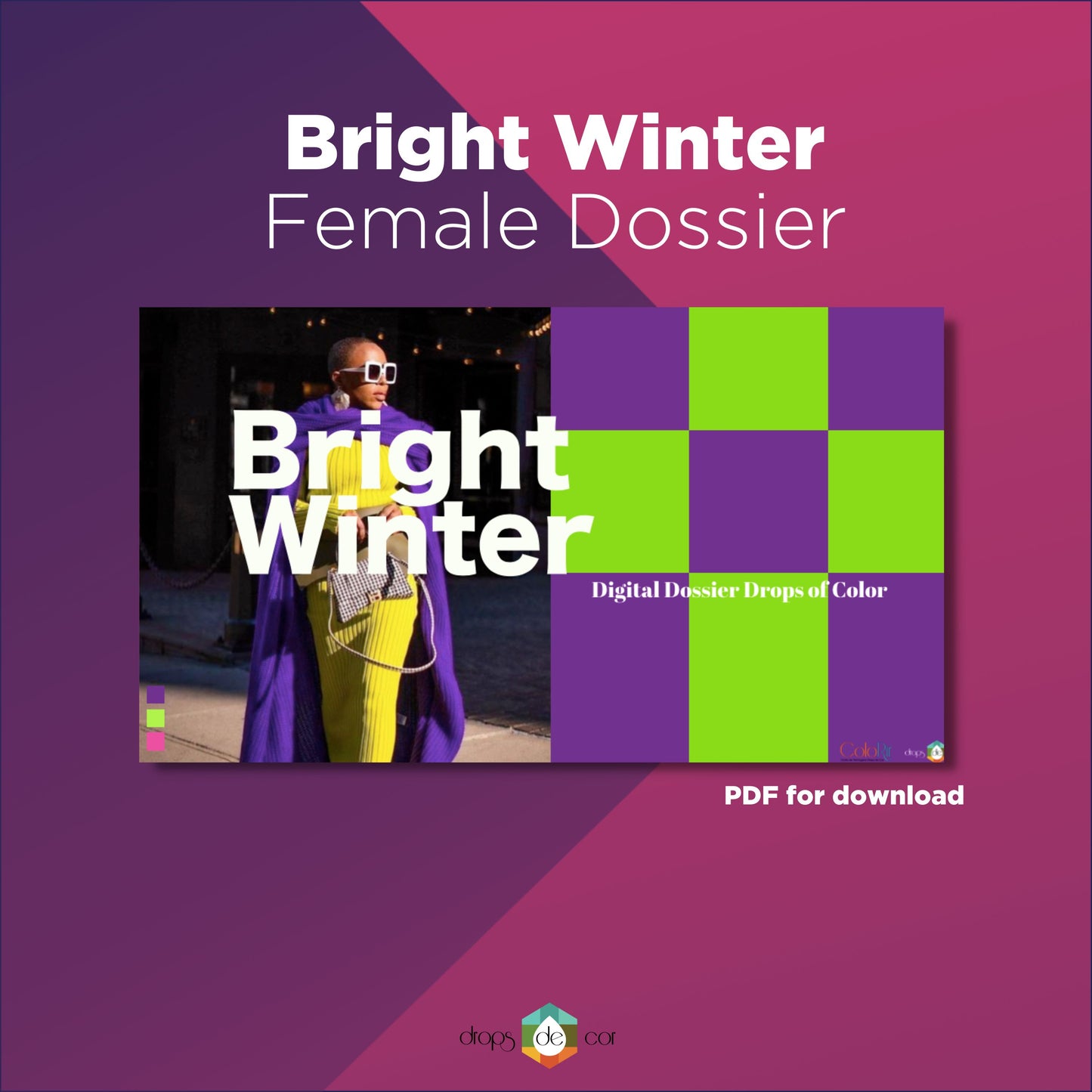 Seasonal Digital Dossier - Bright Winter - English