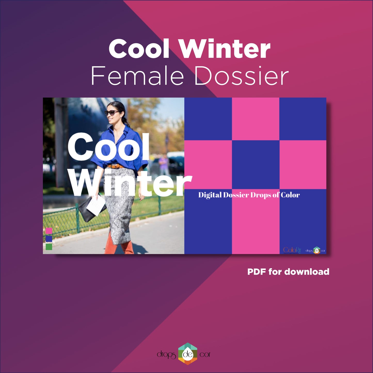 Seasonal Digital Dossier - Cool Winter - English